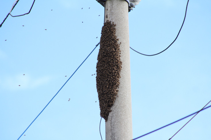  (Foto: Antônio Cruz)