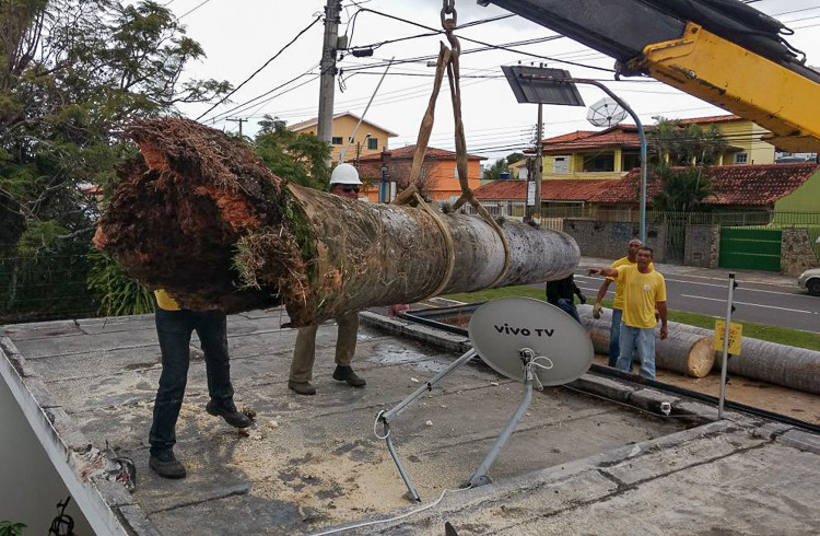  (Foto: Divulgação)