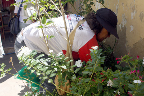 Os agentes de saúde atunam em todo município (Foto: Gerson Gomes)