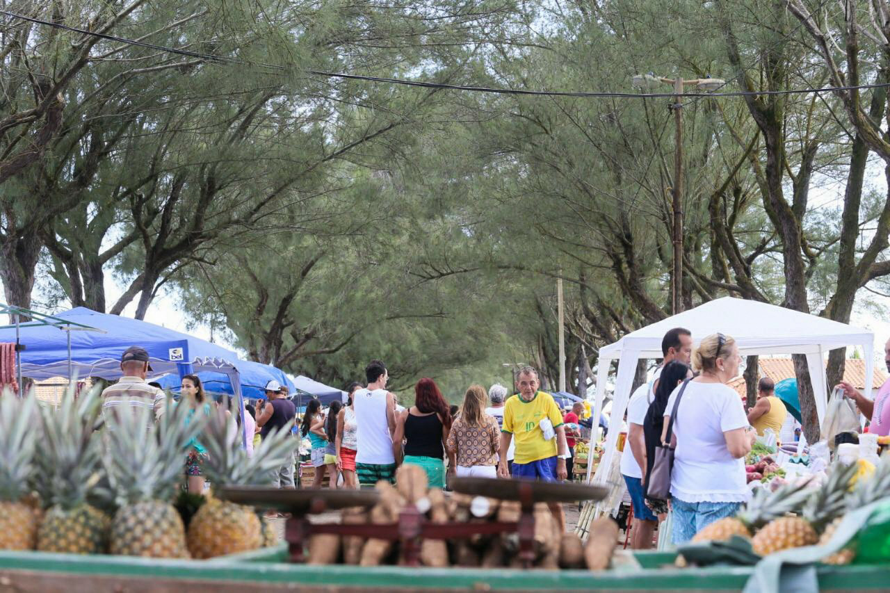  (Foto: Antônio Cruz/Arquivo)