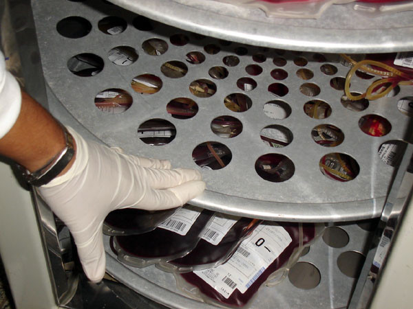 Há necessidade de todos os tipos sanguíneos, mas há uma carência maior pelos tipos O positivo e negativo e A positivo (Foto: Divulgação)