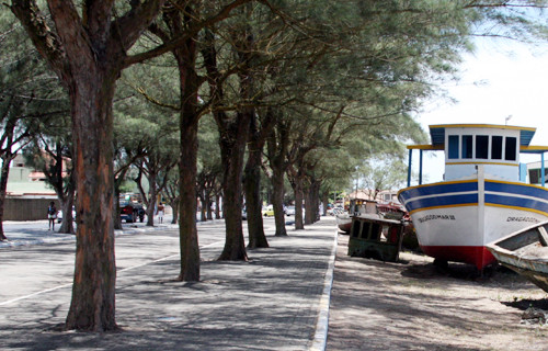 A finalidade do Projeto Orla é identificar as irregularidades e problemas ambientais da orla de Farol de São Tomé (Foto: Roberto Joia)