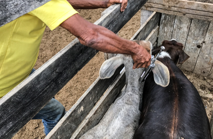  (Foto: Luis Macapá)