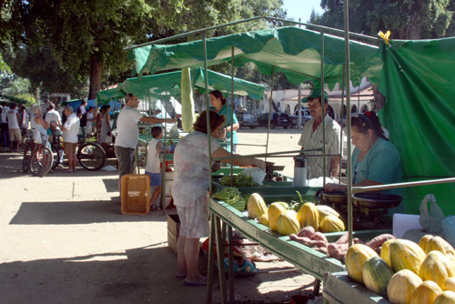 O objetivo é cadastrar os profissionais para, em seguida, realizar ações de prevenção em saúde (Foto: Check)