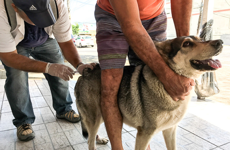  (Foto: Luís Macapá/Arquivo)