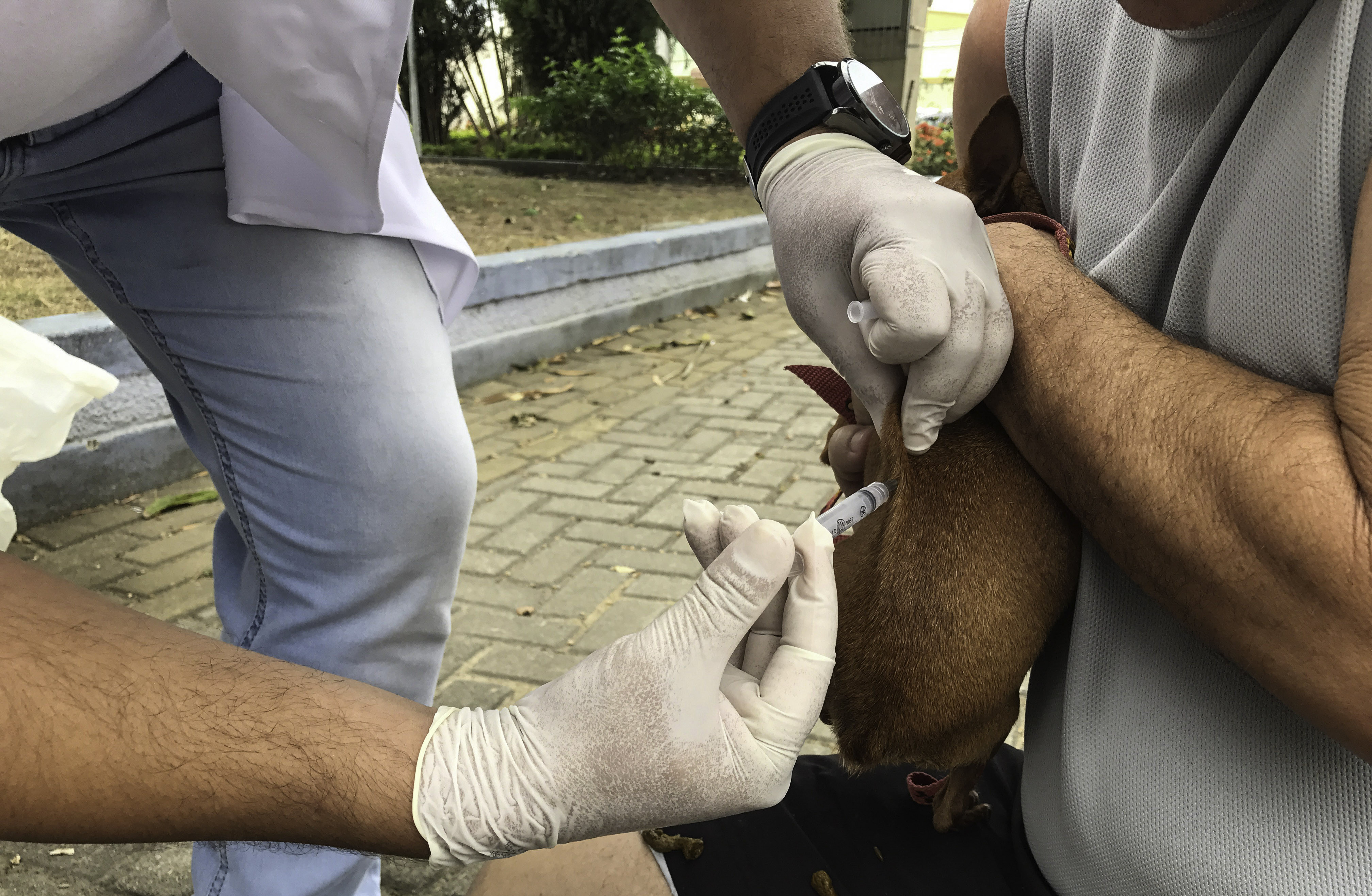  (Foto: Rogério Azevedo)