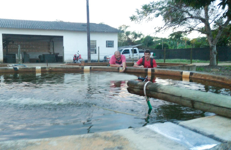  (Foto: Divulgação)