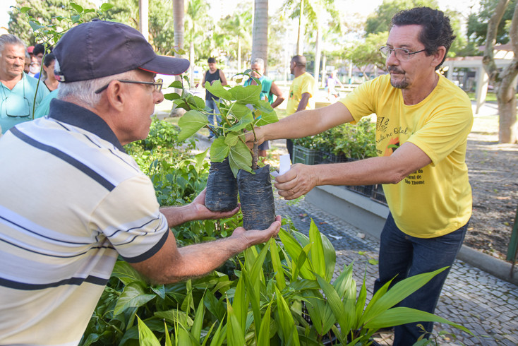  (Foto: Luís Macapá/Arquivo)