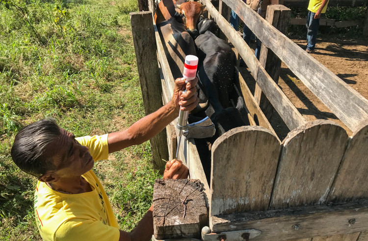  (Foto: Jean Barreto/Arquivo)