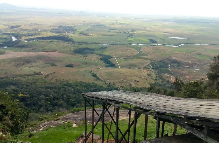  (Foto: Divulgação)