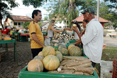 A Feira da Roça funciona em locais distintos na cidade, com dias e horários definidos para atender a dona de casa (Foto: Check)