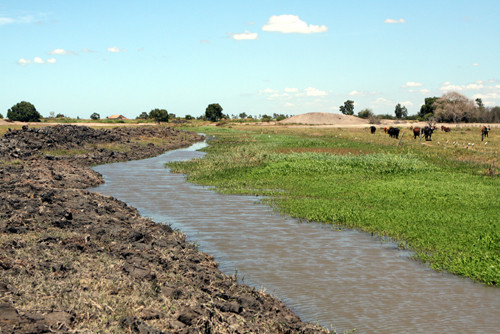 Alguns canais em Campos já foram recuperados pelo município (Foto: Check)