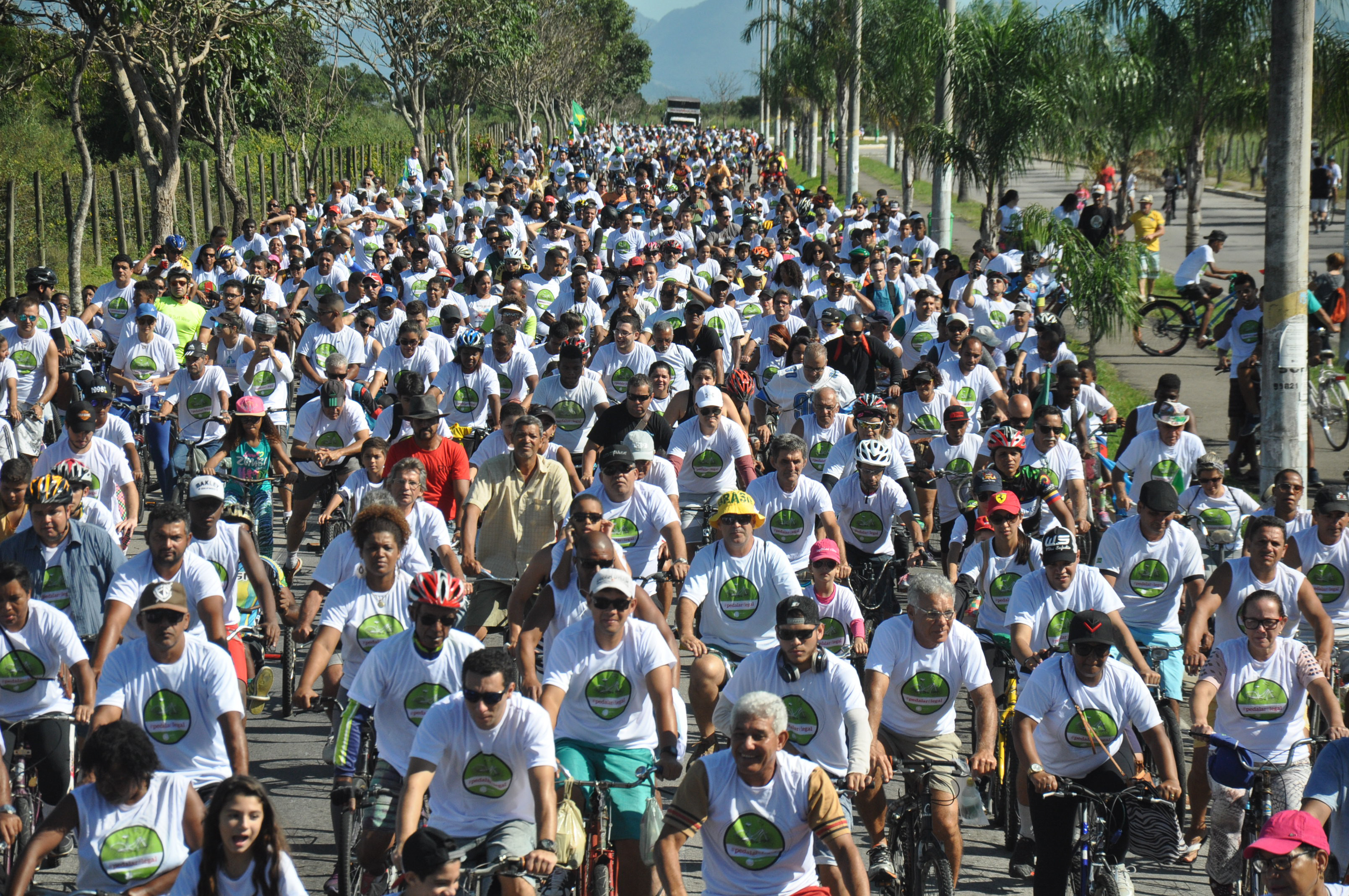  (Foto: Divulgação)