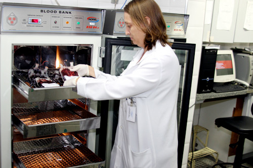 O Banco de Sangue precisa receber cerca de 70 doações por dia, mas tem recebido uma média de 20 doações/dia (Foto: César Ferreira)