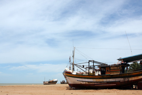 A área destinada aos barcos recebe um grande número de compradores todos os dias (Foto: César Ferreira)