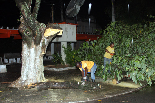 No levantamento feito nesta terça-feira (16) a Defesa Civil também contabilizou corte de 12 árvores (Foto: Gerson Gomes)