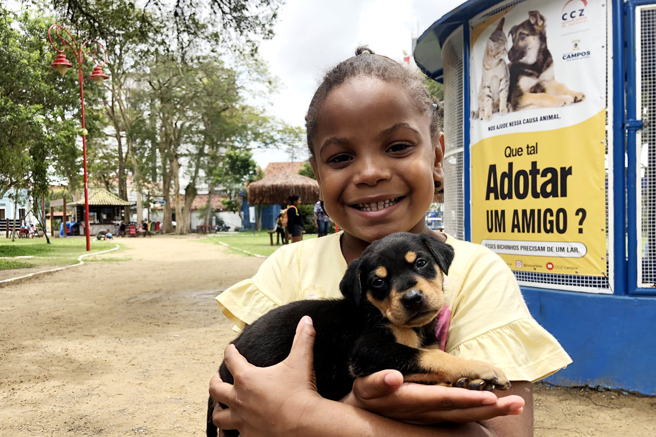 CCZ tira das ruas, mas entrega animais doentes para adoção - Capital -  Campo Grande News