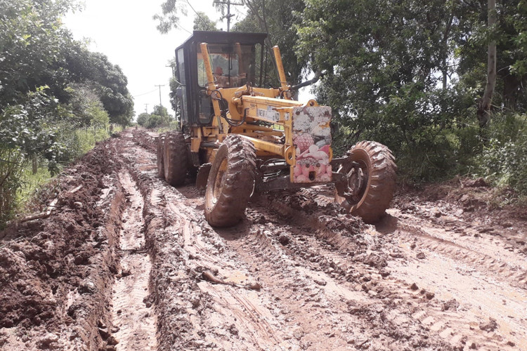  (Foto: Divulgação / Secretaria de Agricultura)