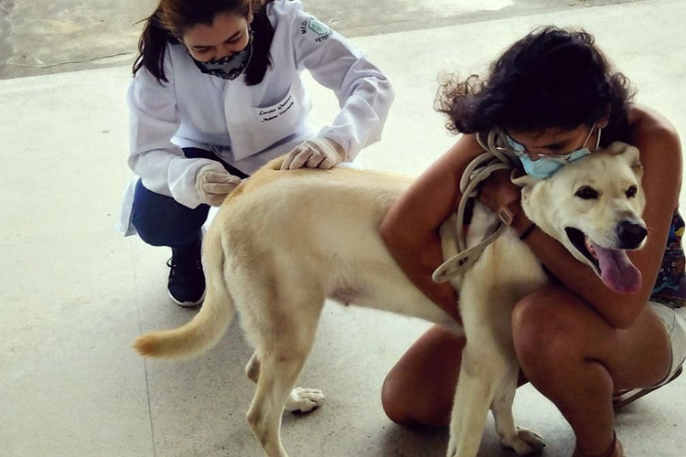  (Foto: Divulgação / Secretaria de Saúde)