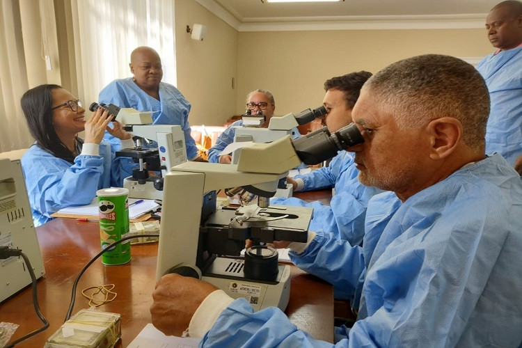  (Foto: Divulgação / Secretaria de Saúde)