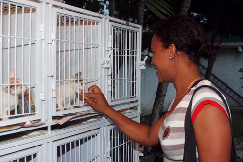 O Centro de Controle de Zoonoses (CCZ) realiza neste domingo (15), no Jardim São Benedito, no Centro, mais uma Feira de Adoção de Animais (Foto: Rogério Azevedo)