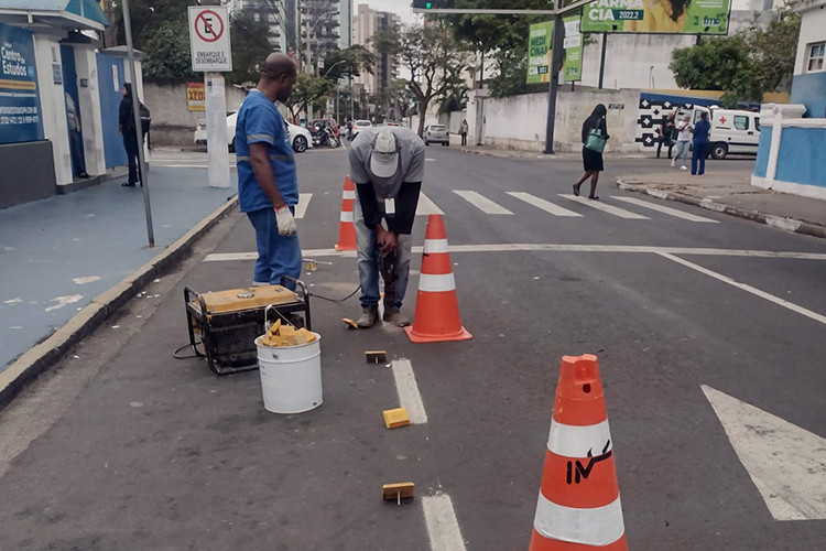  (Foto: Divulgação / IMTT)