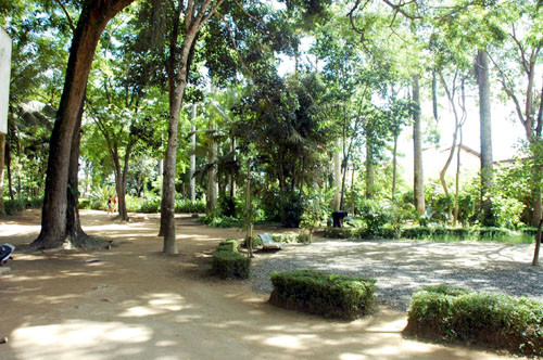 O objetivo do Horto é preservar, principalmente, espécies nativas da Mata Atlântica (Foto: Arquivo)