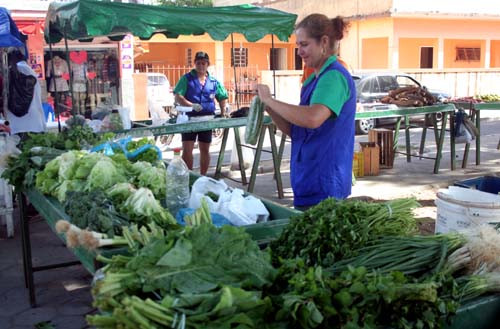 Todas as quartas-feiras, das 7h às 12h, os produtos ficam expostos no Parque Tamandaré e, às quintas-feiras, no mesmo horário, no bairro IPS (Foto: Antônio Leudo)