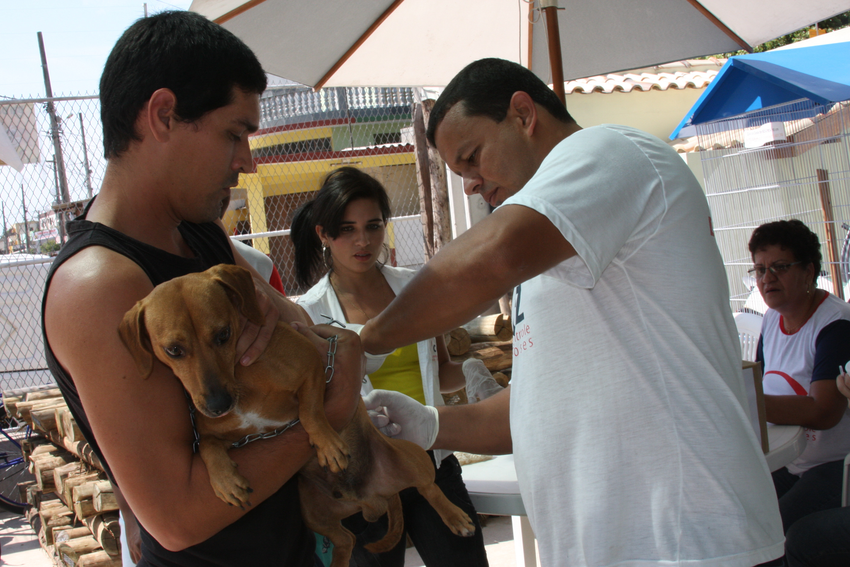 O CCZ recebe animais em sua sede, na Avenida Presidente Vargas, na Pecuária (Foto: Antônio Leudo)