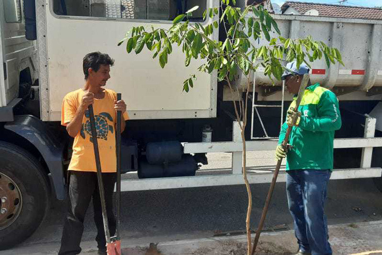  (Foto: Divulgação: Subsecretaria de Meio Ambiente)