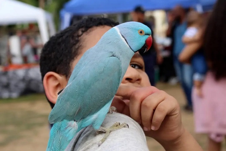  (Foto: Luzitana Xavier / Divulgação)