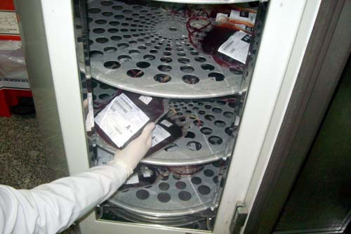 A medida foi preventiva, já que há menos de 30 dias os servidores lotados no Cesec foram vacinados contra o vírus H1N1 (Foto: Divulgação)