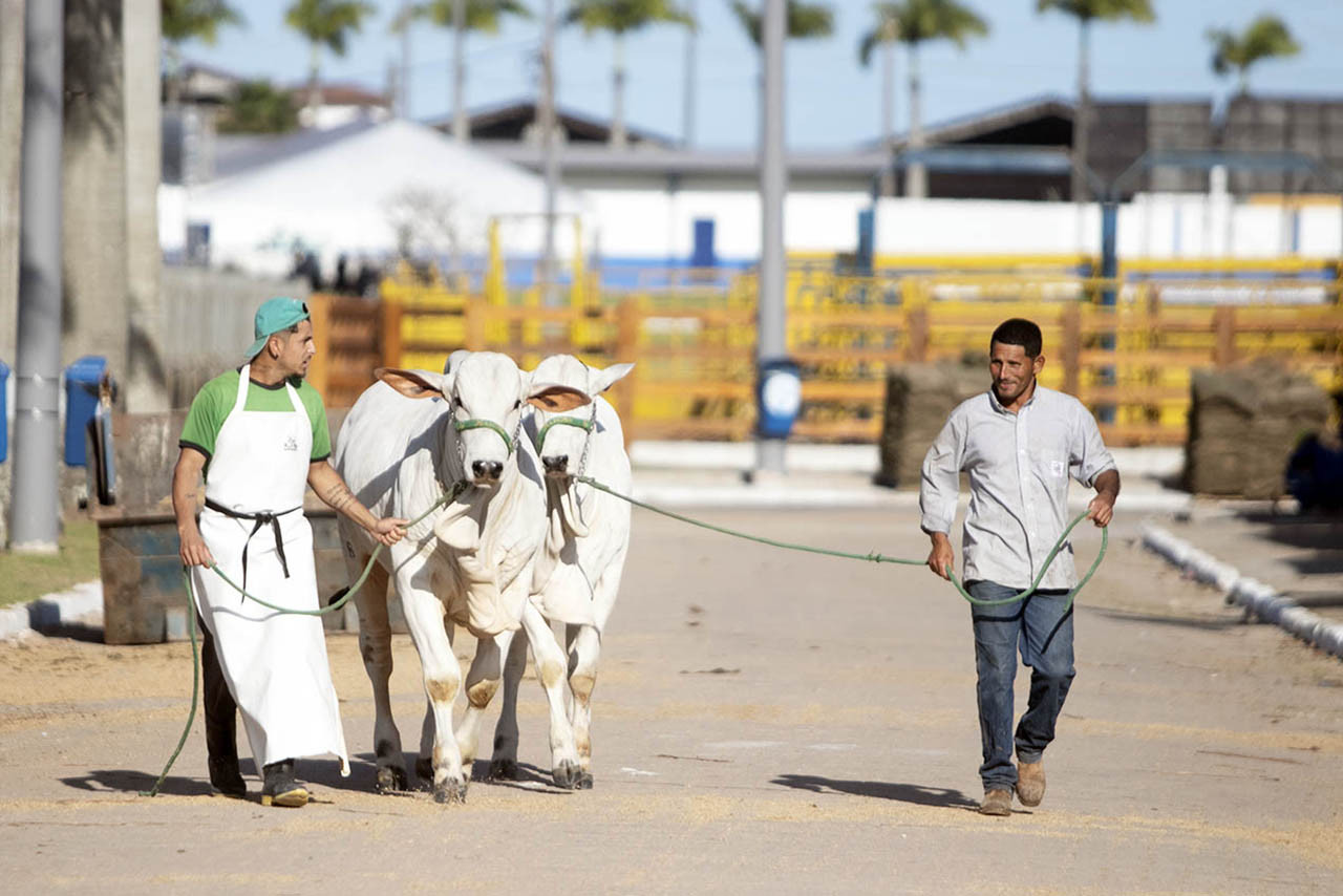  (Foto: João Barreto / Divulgação PMM)