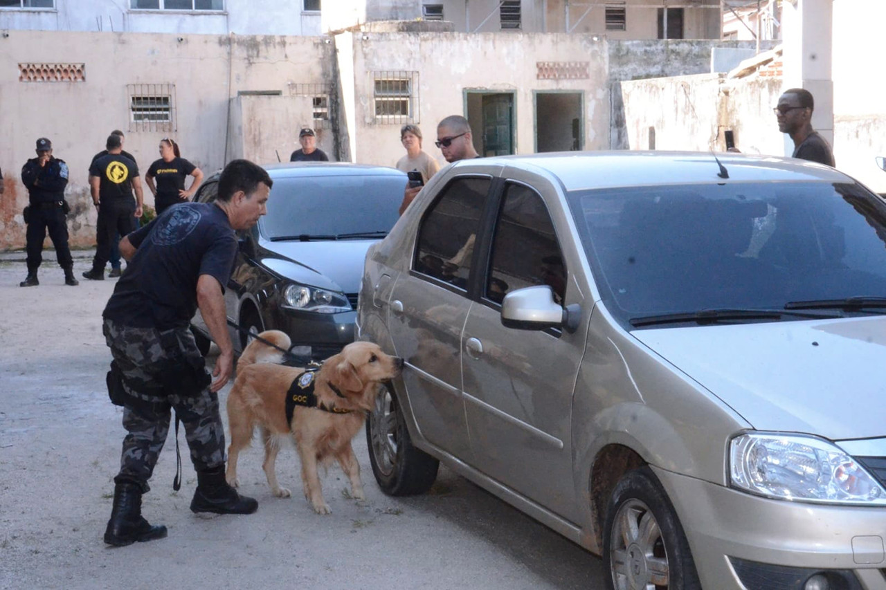  (Foto: Divulgação / GCM)