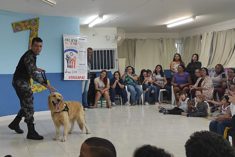  (Foto: Carla Salles / Divulgação)