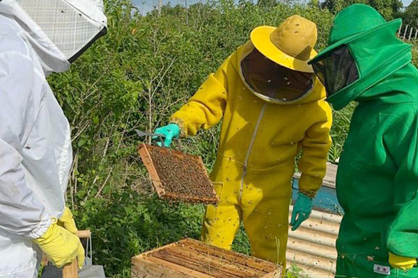  (Foto: Paulo César / Divulgação Agricultura)