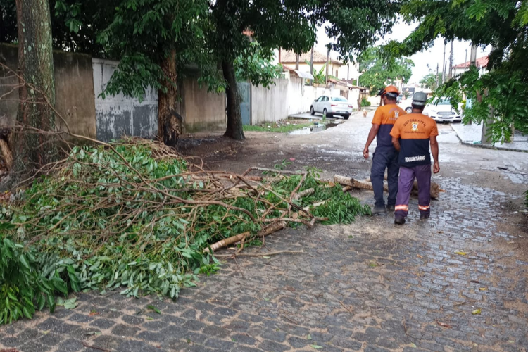  (Foto: Defesa Civil / Divulgação)