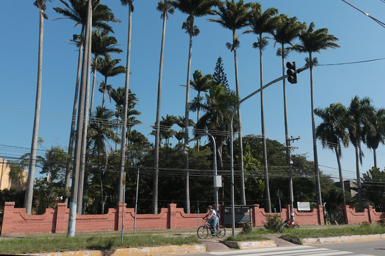  (Foto: Vadinho Ferreira / Divulgação)