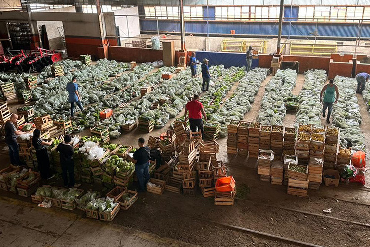  (Foto: Amaro Júnior / Divulgação)