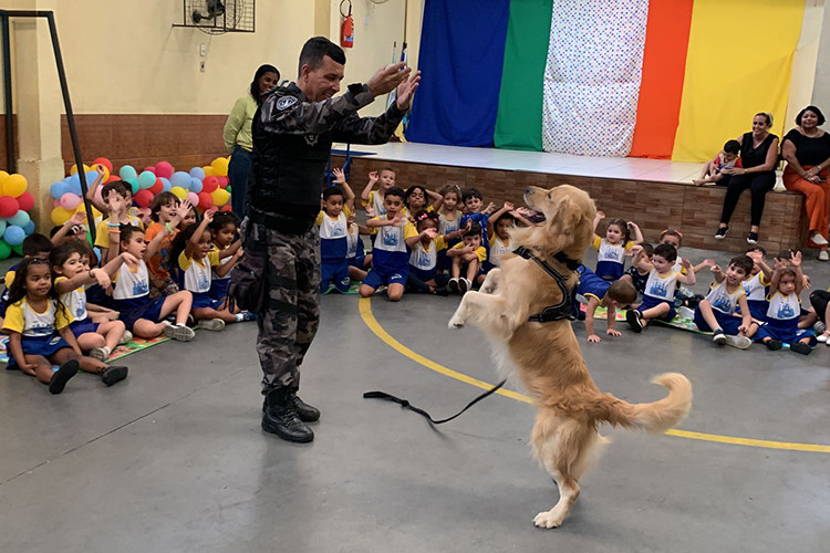  (Foto: Divulgação / GCM)