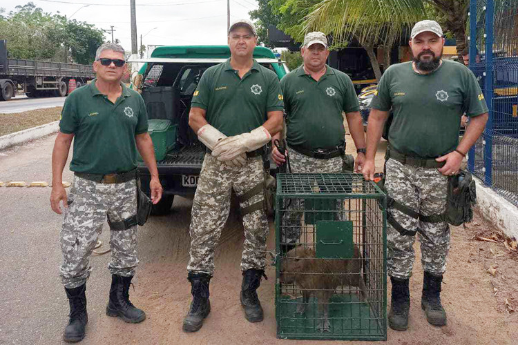  (Foto: Gabriel Chagas / Divulgação)