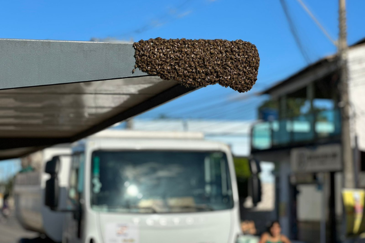  (Foto: Defesa Civil / Divulgação)