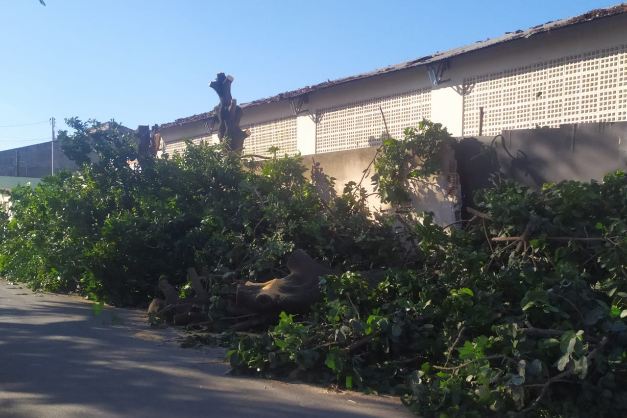  (Foto: Defesa Civil / Divulgação)