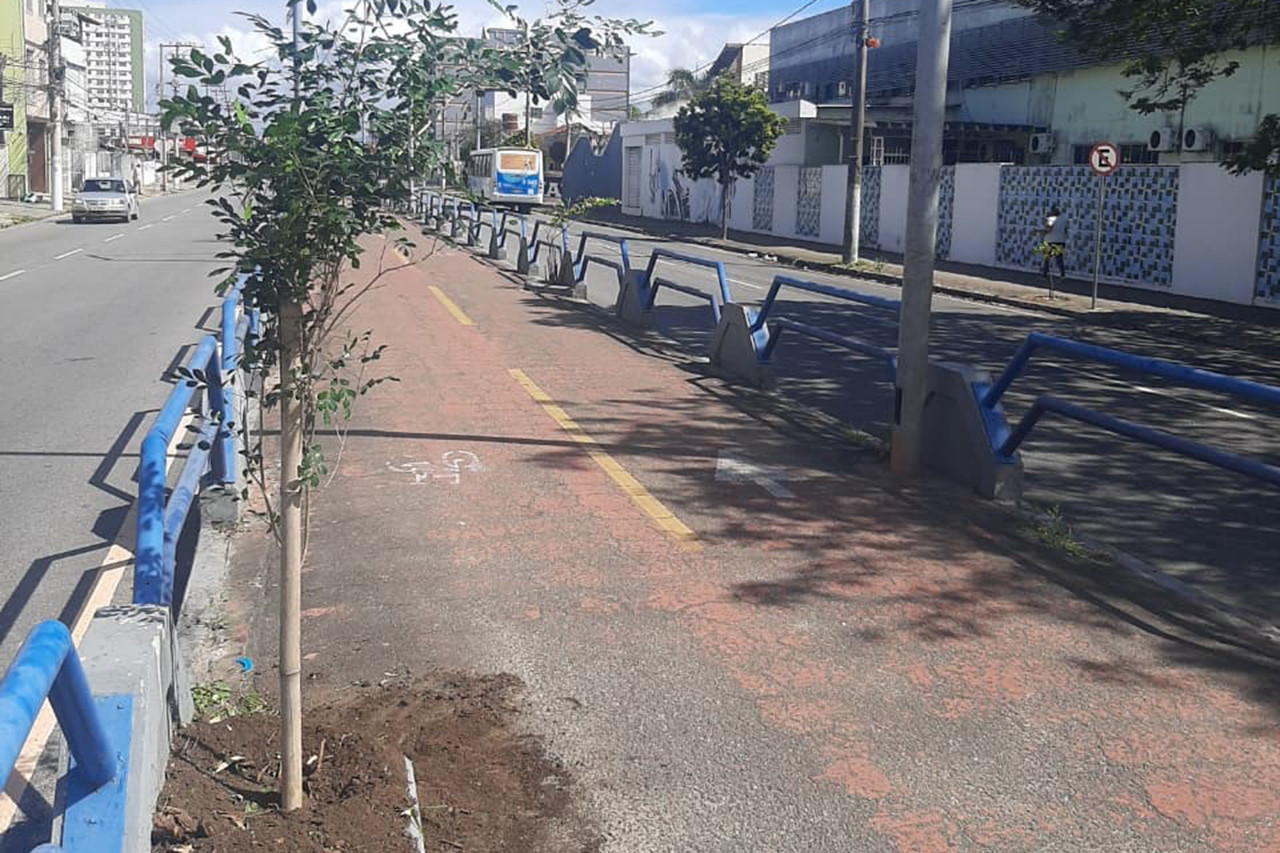  (Foto: Ana Clara Coelho Beiral / Divulgação)