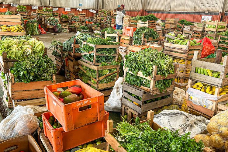  (Foto: Secretaria de Agricultura / Divulgação)