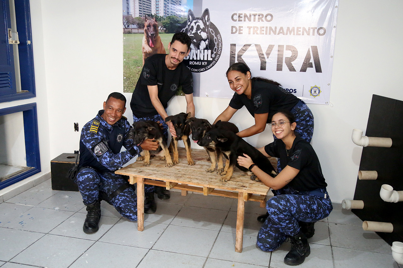  (Foto: Rodrigo Silveira)