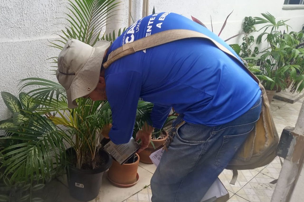  (Foto: CCZ / Divulgação)