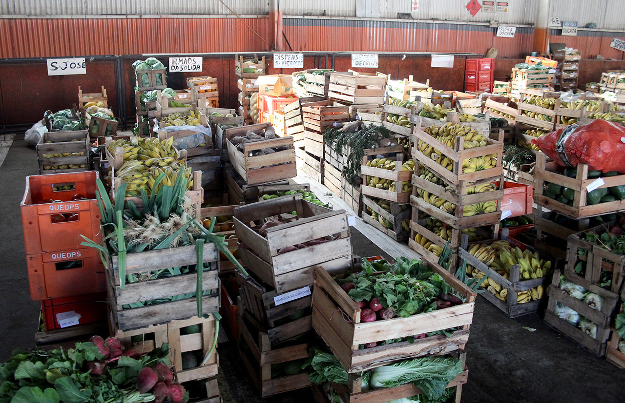  (Foto: Rodrigo Silveira)