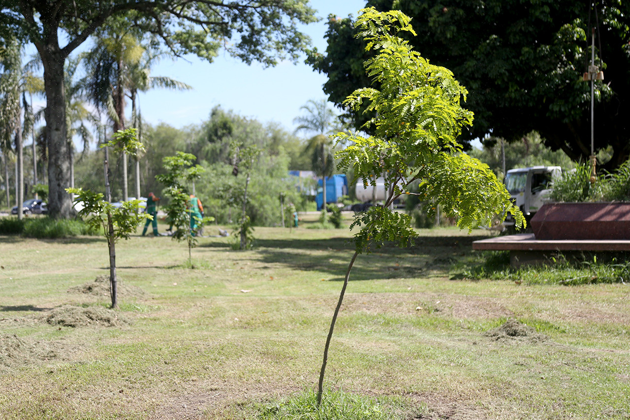  (Foto: Rodrigo Silveira)