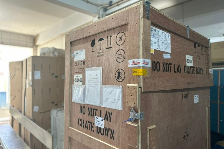  (Foto: Isabella Corrêa / Divulgação)